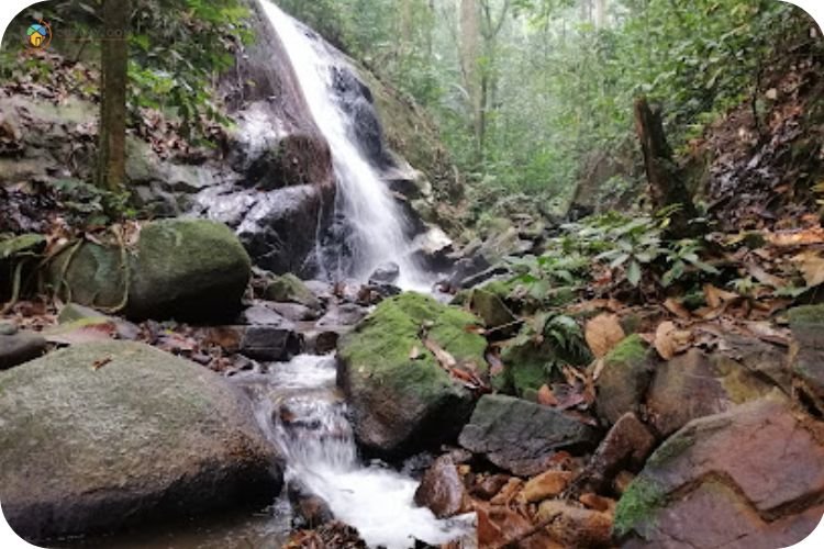 15+ Tempat Menarik di Gombak Yang Wajib Korang Lawat! 7 Imej Taman Rimba Komanwel