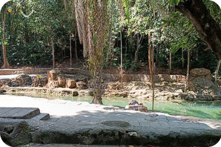 13 Tempat Camping di Penang Yang Indah & Menakjubkan 12 Imej Taman Rimba Teluk Bahang