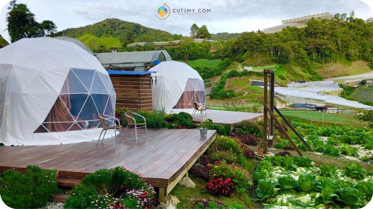 15 Tempat Camping di Cameron Highland Paling Best 1 Imej Tempat Camping di Cameron Highland A’moss Farmstay