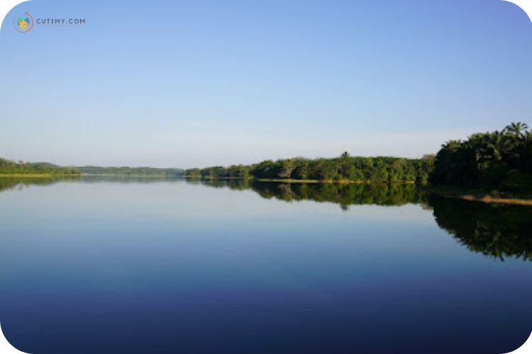 Imej Tempat Memancing Durian Tunggal