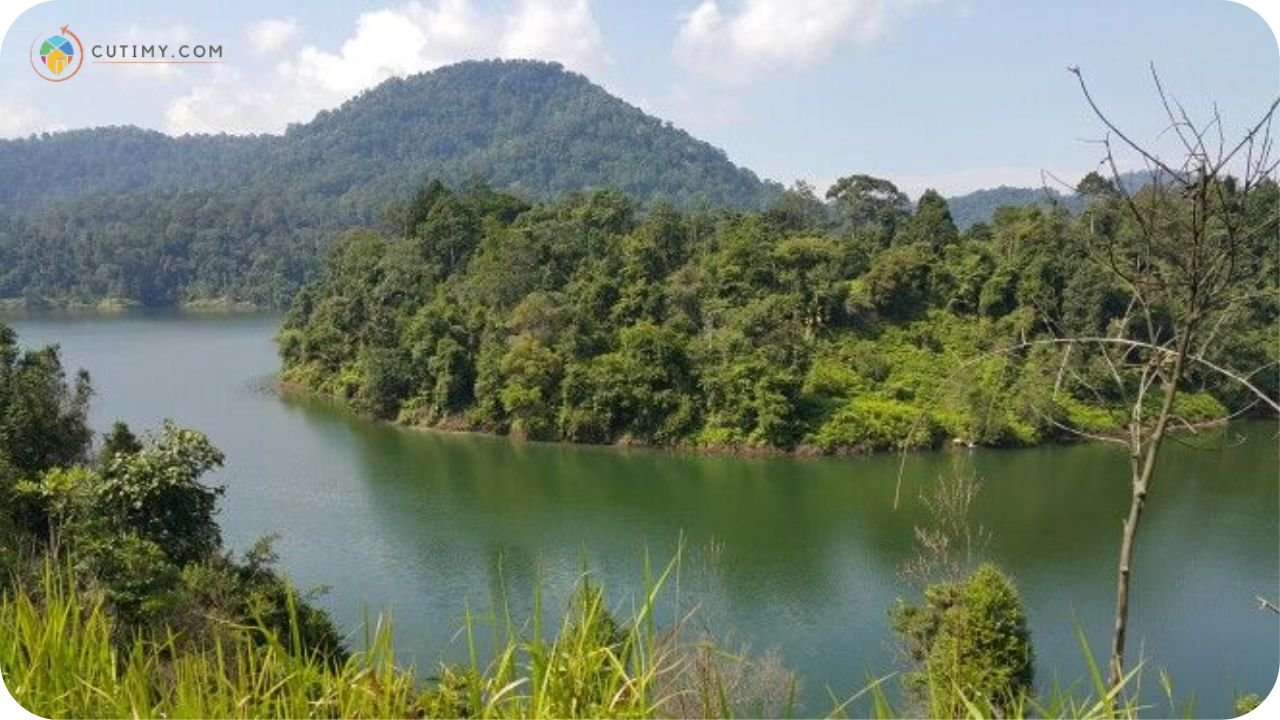 11+ Tempat Memancing di Selangor: Pancingan Hebat 1 Imej Tempat Memancing di Selangor Semenyih Dam