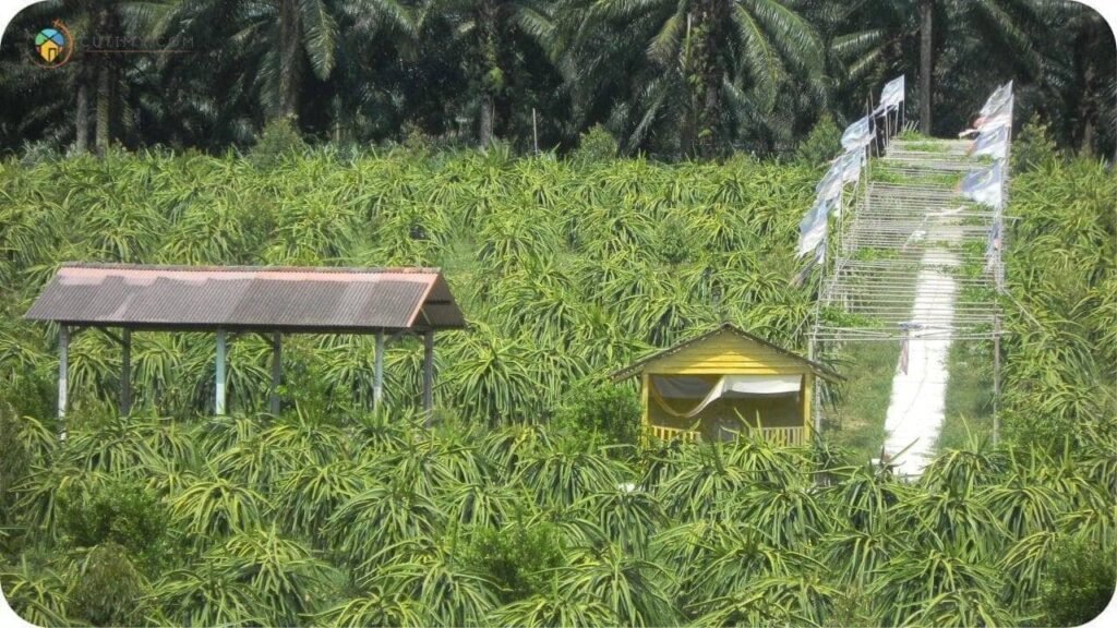 15+ Tempat Menarik Di Alor Gajah Yang Wajib Singgah! 1 Imej Tempat Menarik Di Alor Gajah Selandar Farm