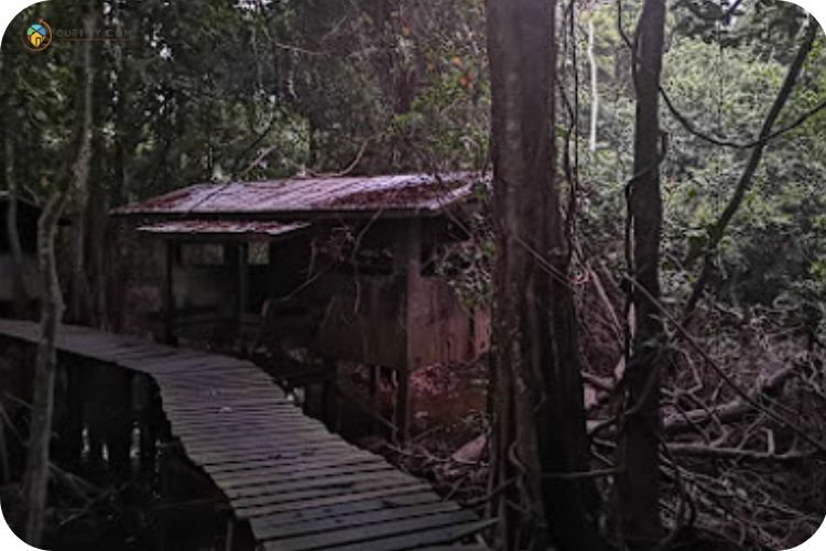 13 Tempat Camping di Sabah Untuk Perkhemahan Seronok 11 Imej Uncle Tan Wildlife Adventures