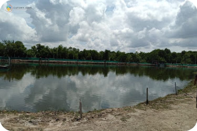 15 Tempat Memancing di Kedah Paling Best Terkini 2 Imej Utara Sport Fishing