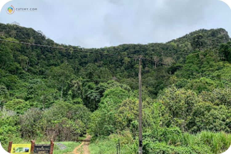 13 Tempat Menarik Di Kangar Untuk Percutian Terbaik 4 Imej Wang Gunung