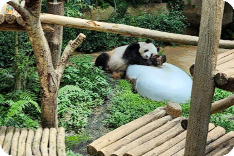 15+ Tempat Menarik di Gombak Yang Wajib Korang Lawat! 13 Imej Zoo Negara