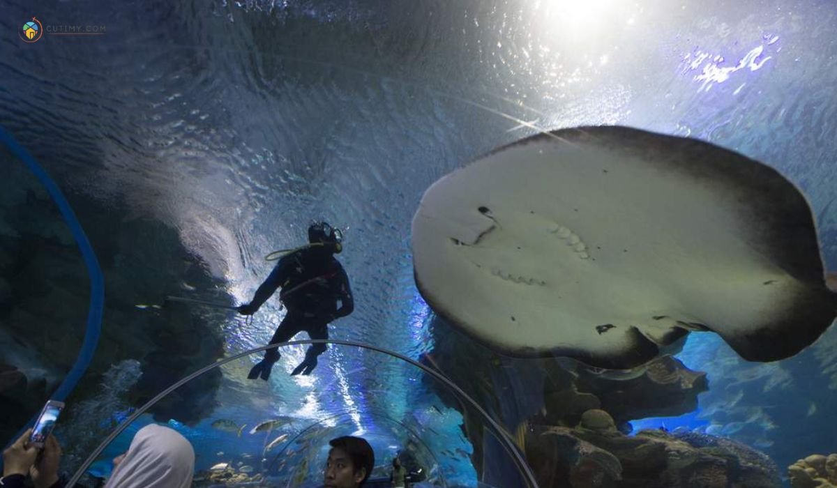 15+ Tempat Menarik Di Kuala Lumpur Yang Wajib Lawat! 2 imej Aquaria KLCC