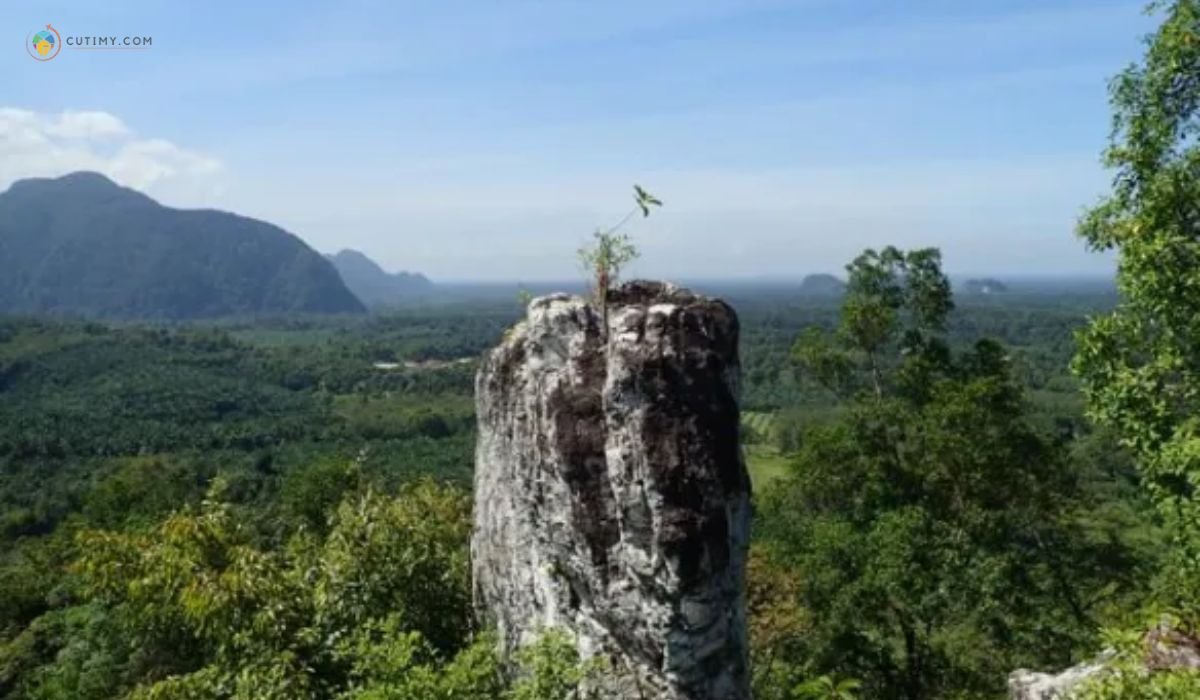 imej Batu Putih Hill - Trail