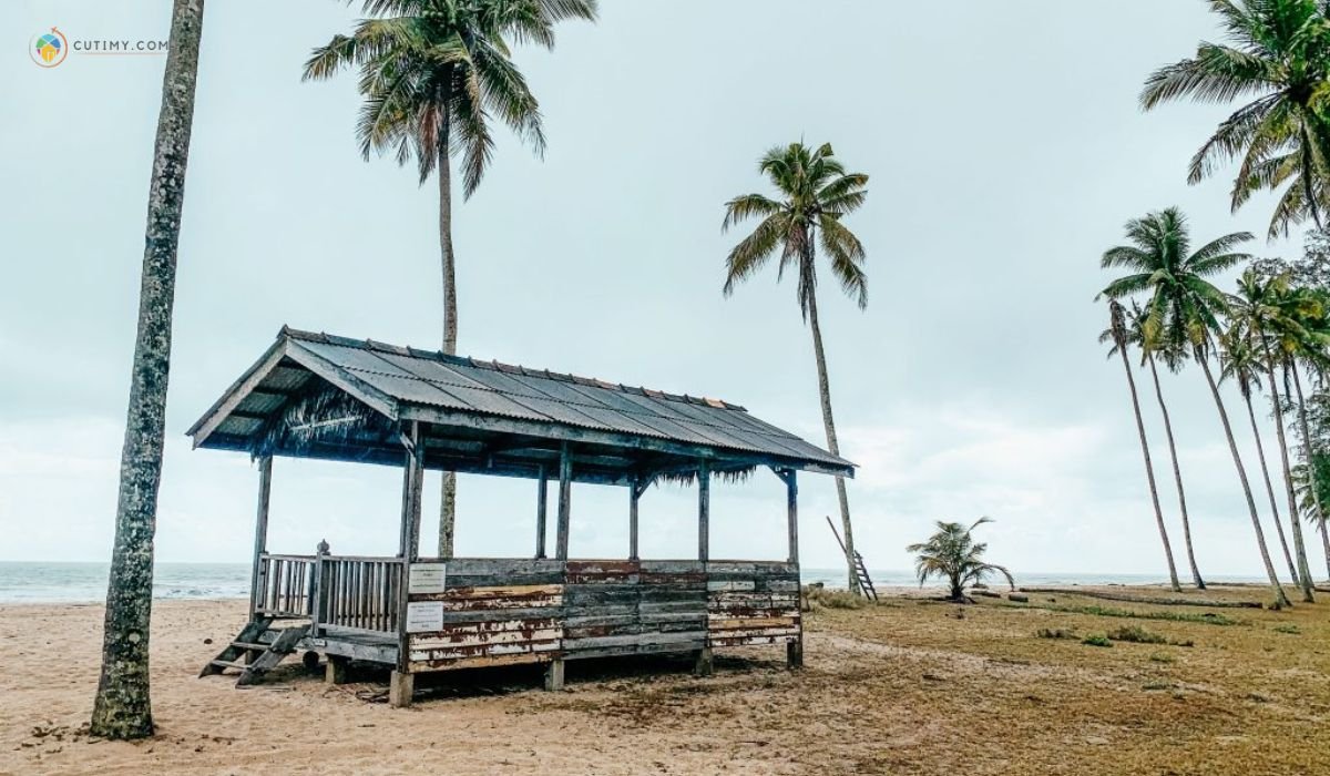 imej Berkelah di Pantai Mangkuk