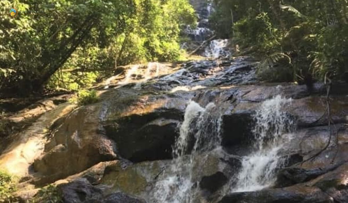 imej Commonwealth Forest Park Falls