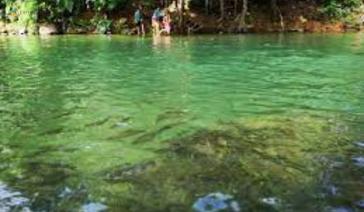 imej Crystal Bridge Farm, Kibunut, Sabah
