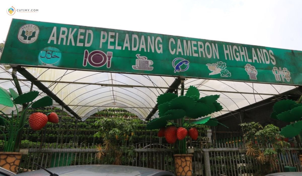 10 Tempat Menarik di Brinchang Paling Viral Terkini 10 imej Farmers Arcade Cameron Highlands