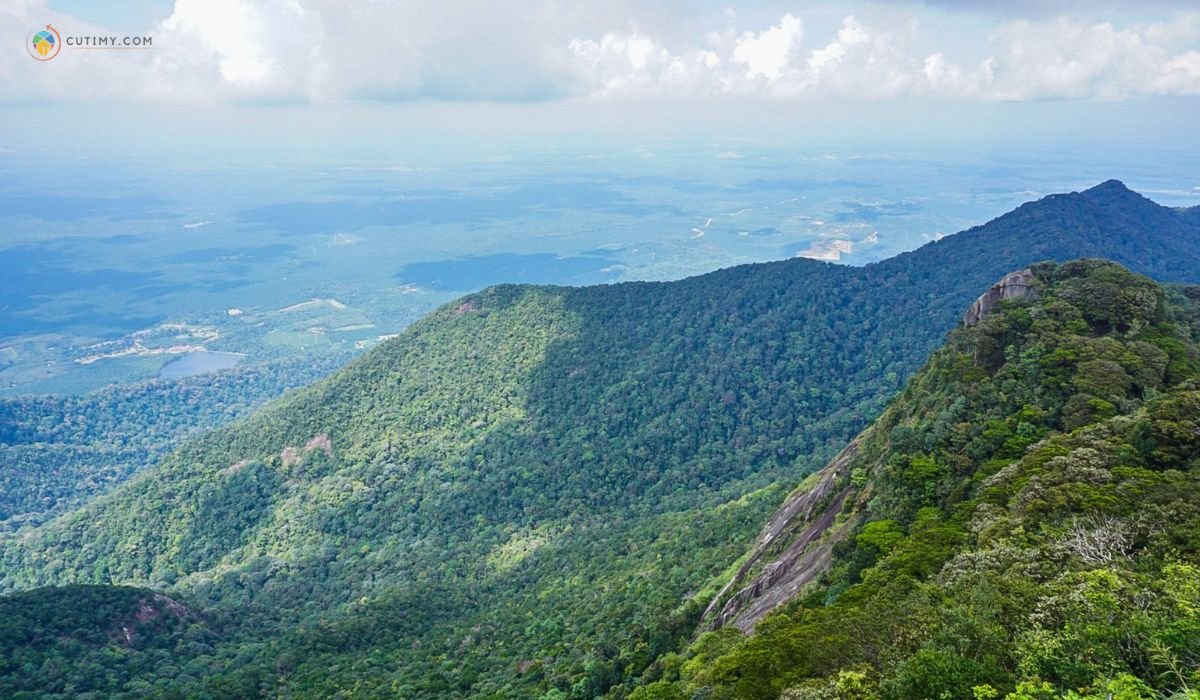 imej Gunung Ledang, Mount Ophir_ Cabaran Pendakian dan Pemandangan Luar Biasa
