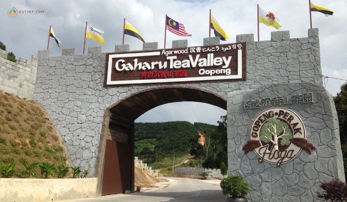 imej HOGA Gaharu Tea Valley