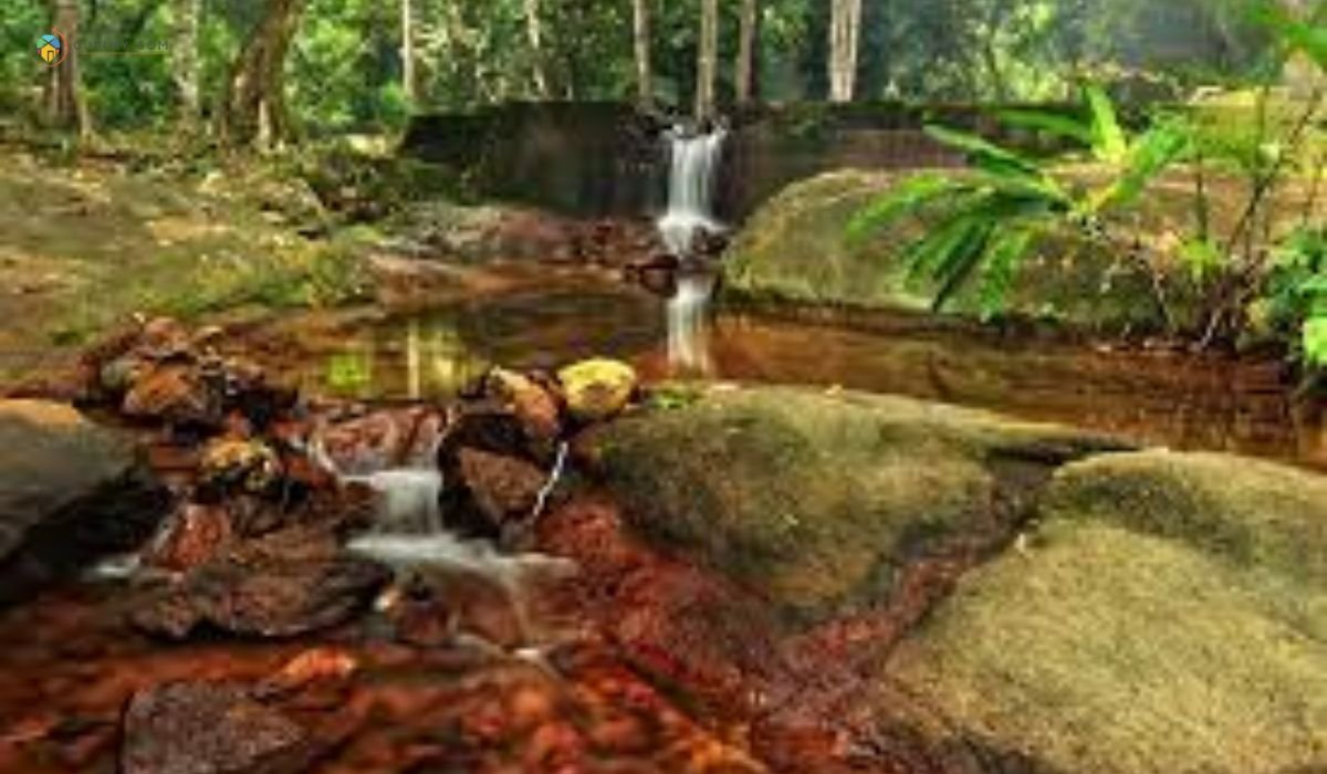 imej Hutan Simpan Beserah