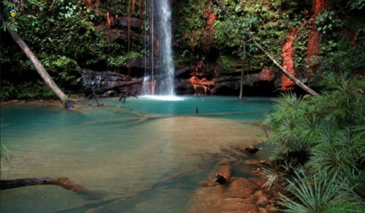 imej Lambir Hills National Park