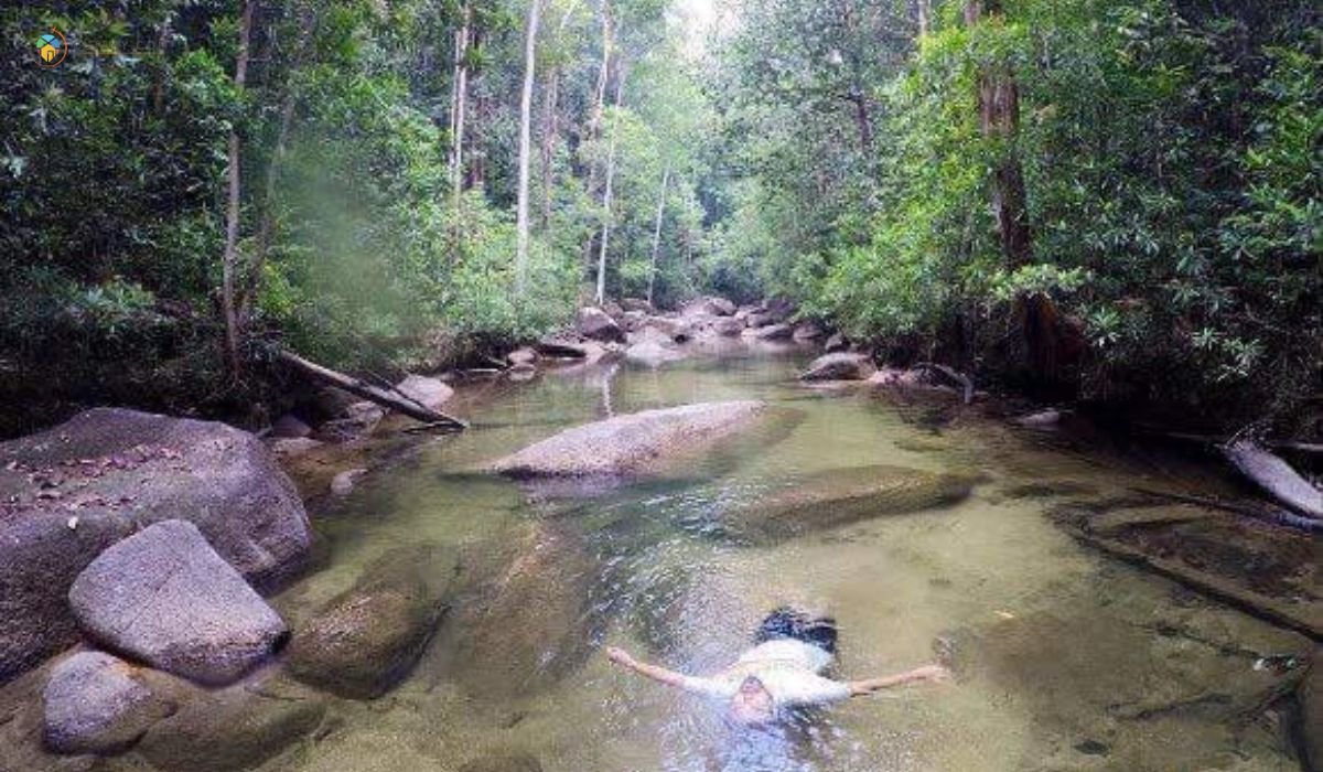 imej Lata Belatan, Besut