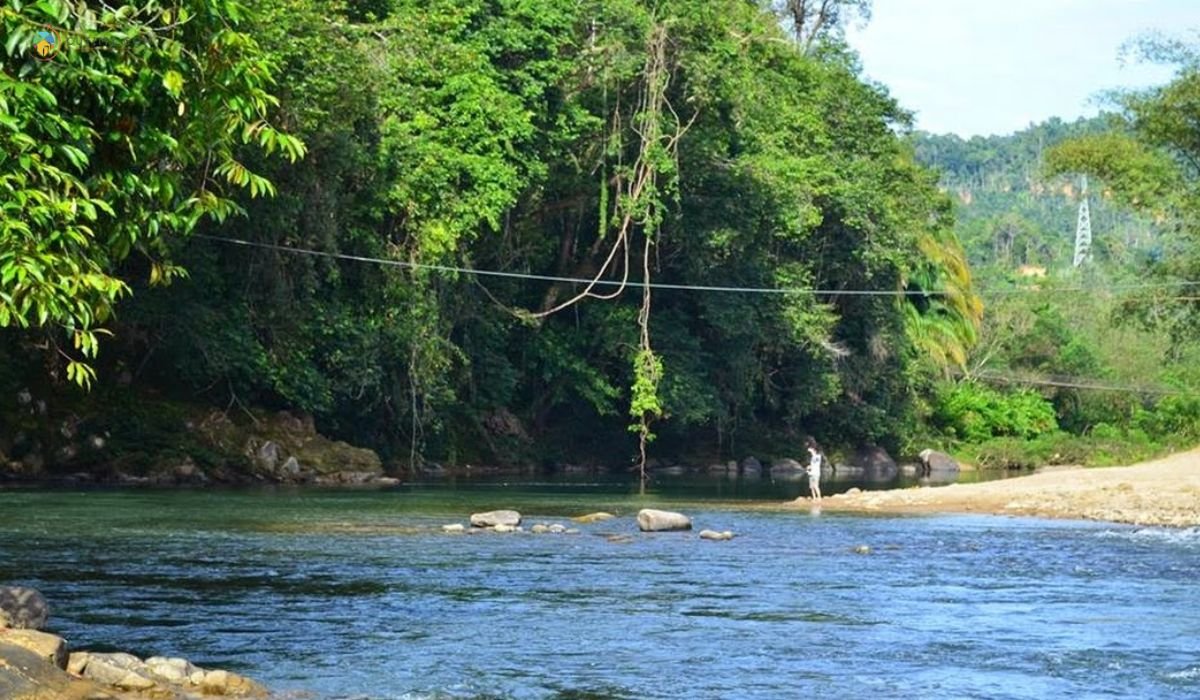 imej Mondikot Deer Camp