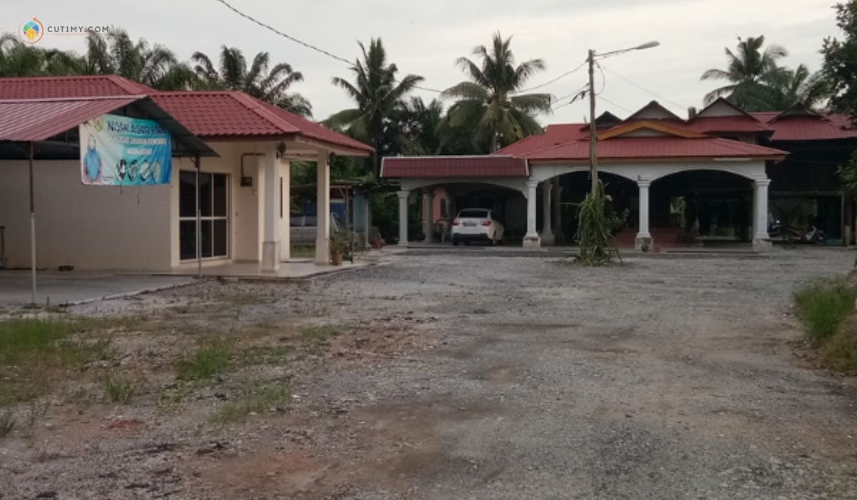 imej Nisha Agro Farm