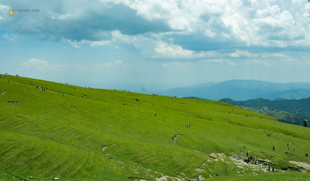 imej Padang Rumput Kashmir