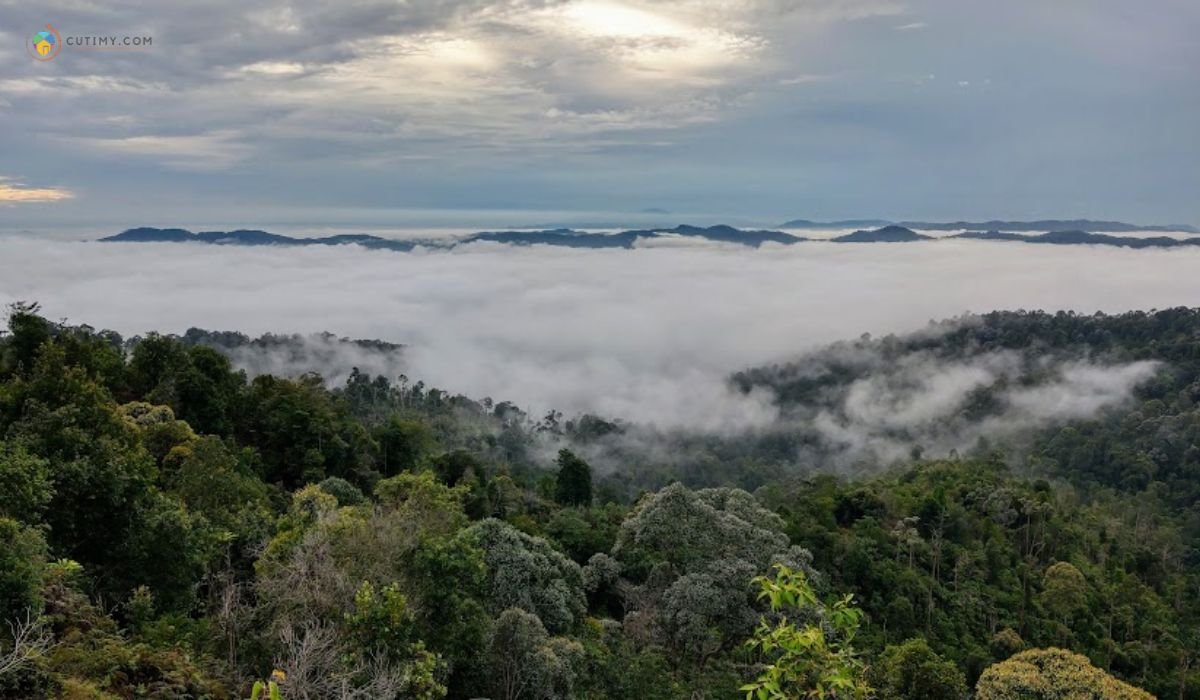 imej Start Point Bukit Senaling Hiking Trail
