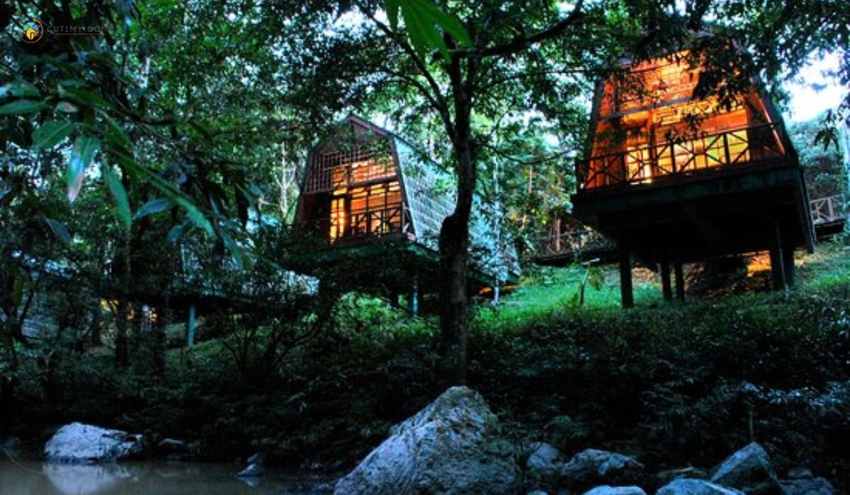 11 Tempat Menarik di Lahad Datu yang Wajib Lawat 8 imej Tabin Wildlife Resort