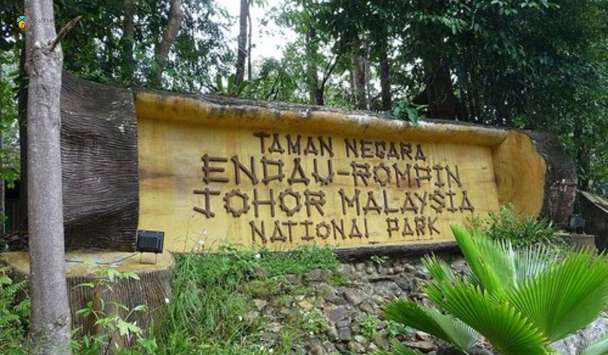 11 Tempat Menarik di Rompin Paling Popular Terkini 5 imej Taman Negara Endau-Rompin