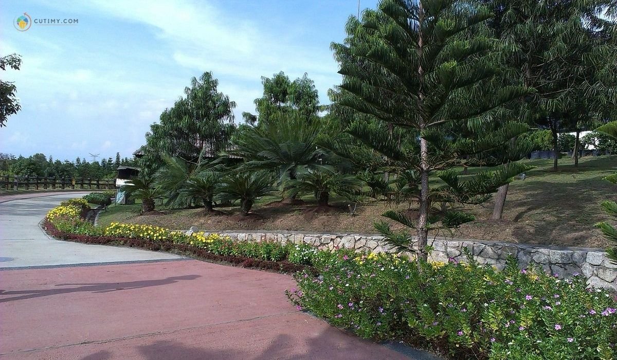 15 Tempat Menarik Di Putrajaya Yang Wajib Lawat Best 6 imej Taman Saujana Hijau Putrajaya