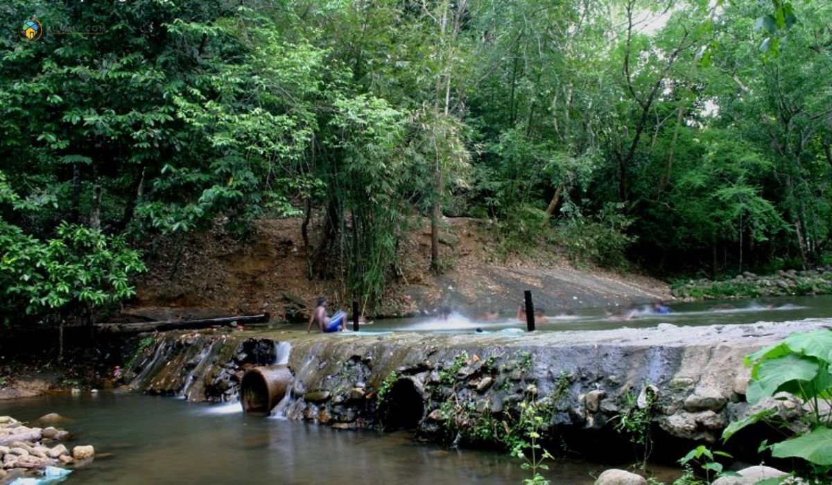 15 Tempat Mandi di Kedah Paling Best 4 imej Tupah Recreational Forest