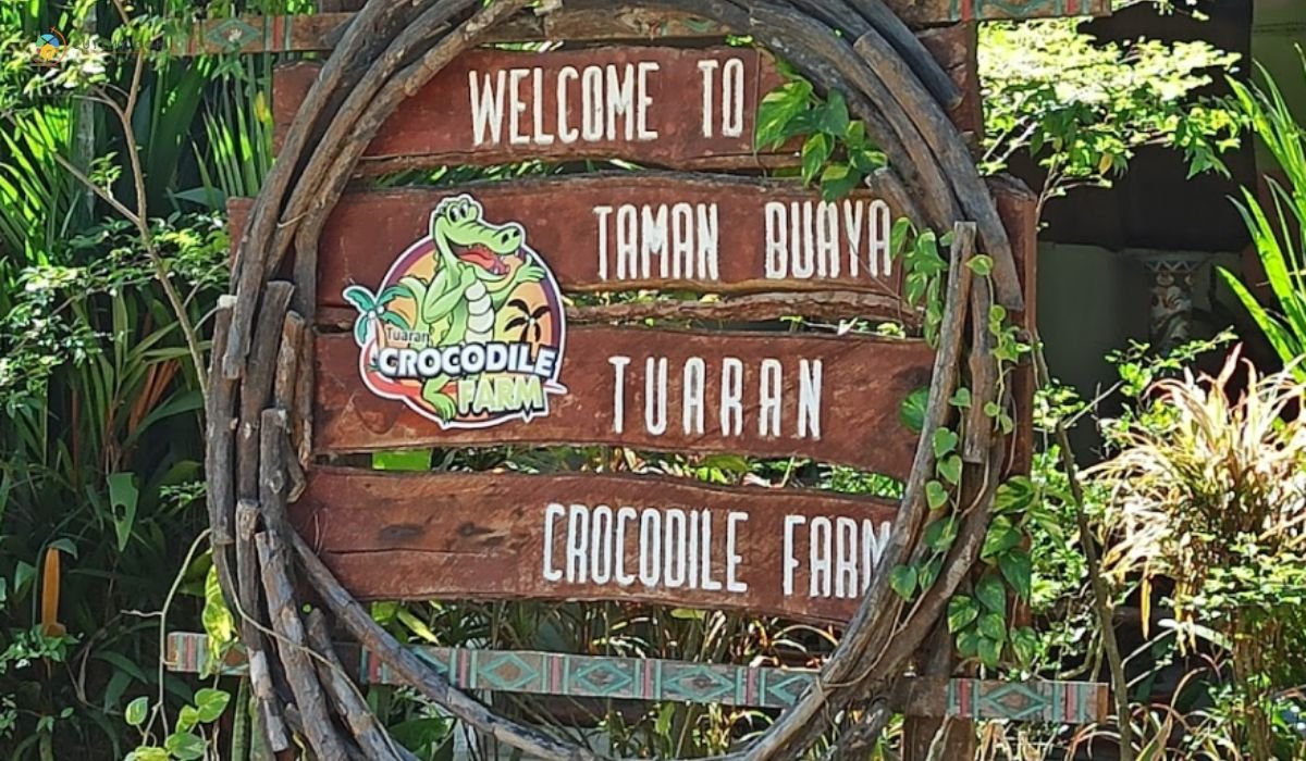 11 Tempat Menarik di Tuaran yang Menakjubkan Terkini 6 imej Tuaran Crocodile Farm
