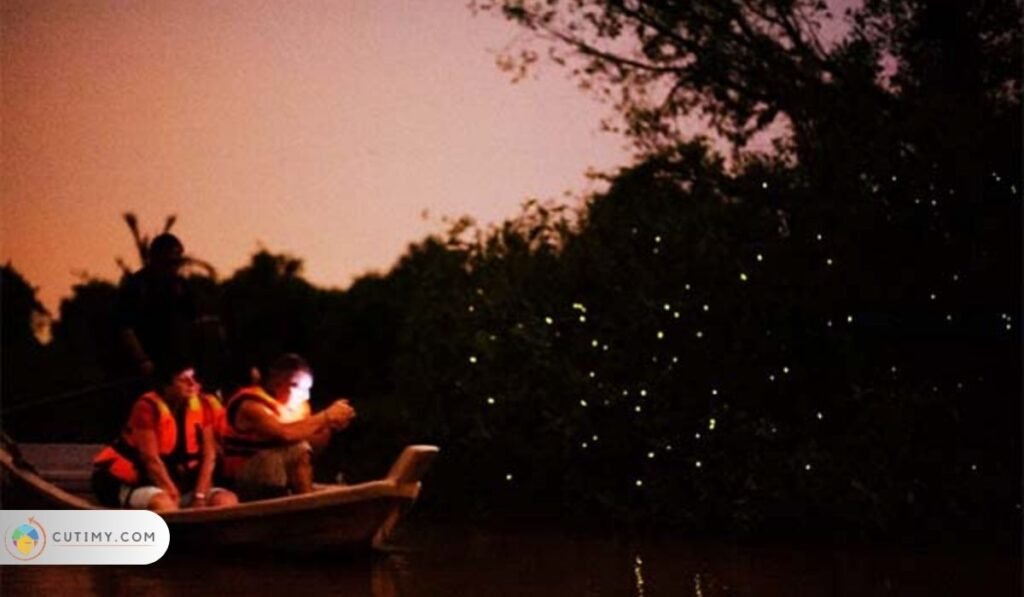 Cherating Firefly Cruise