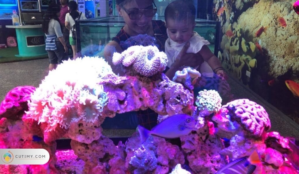 13 Tempat Menarik di Port Dickson untuk Family Day 12 Imej Pusat Ikan Hiasan (Akuarium)