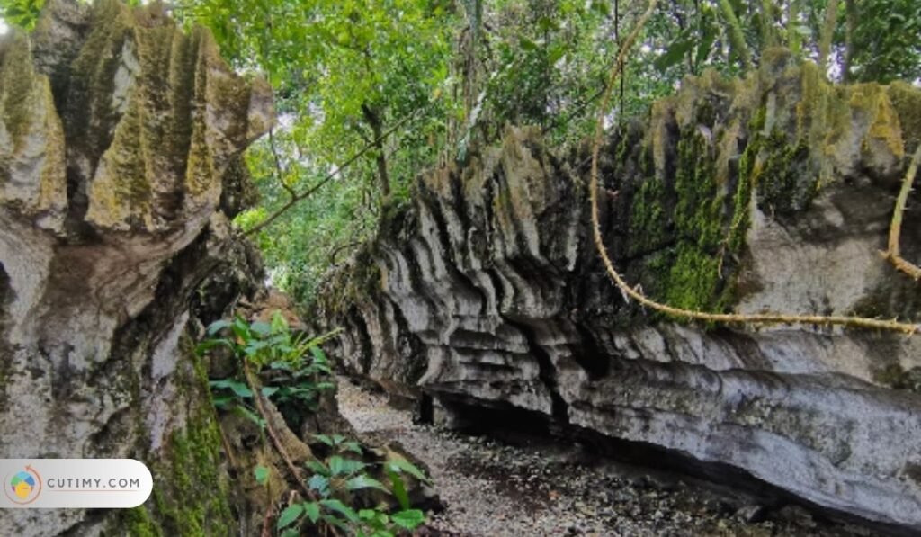11 Tempat Menarik di Bau Paling Menakjubkan 8 Imej Taman Labirin Batu Kapur Paku (Paku Rock Maze Garden)
