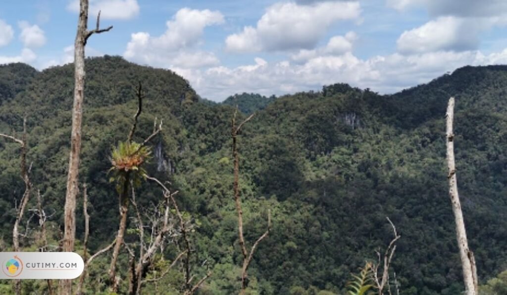 11 Tempat Menarik di Bau Paling Menakjubkan 7 Imej Taman Negara Dered Krian (Dered Krian National Park)