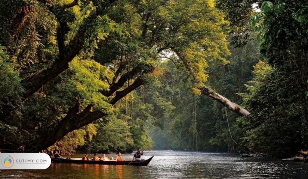 Imej Taman Negara National Park