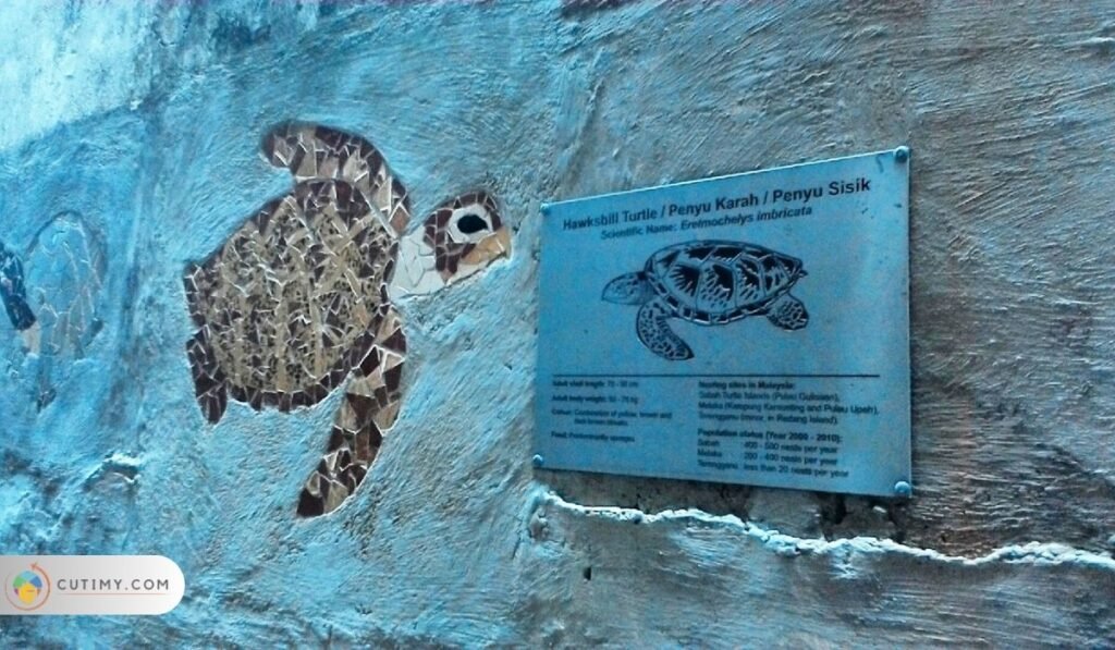 Imej Terengganu Turtle Alley (Taman Penyu)