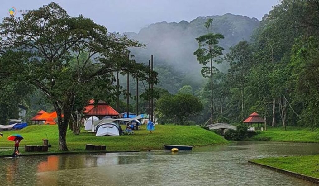 imej Commonwealth Forest Park Falls