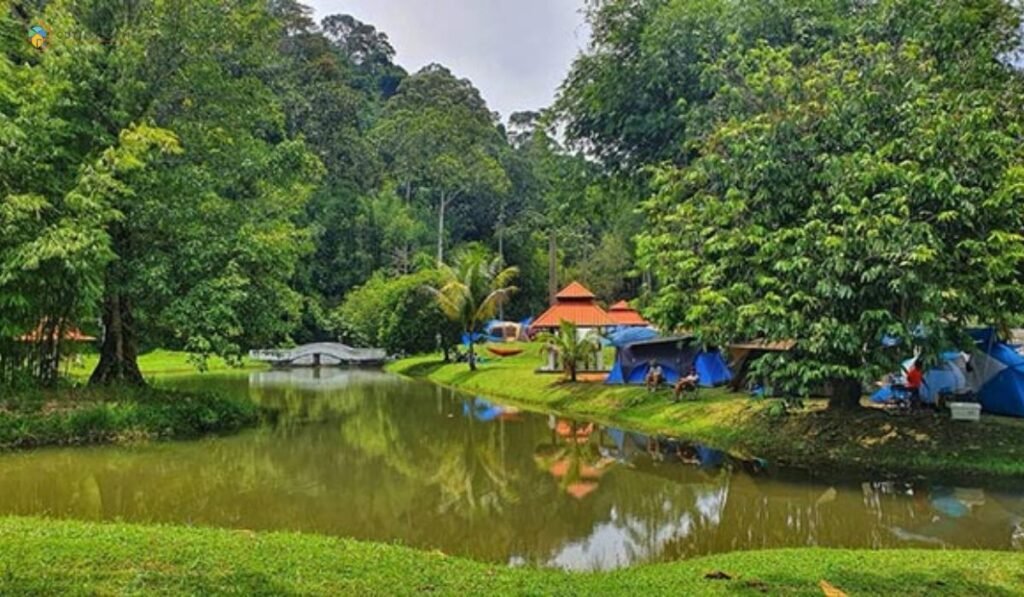 imej Commonwealth Forest Park Falls