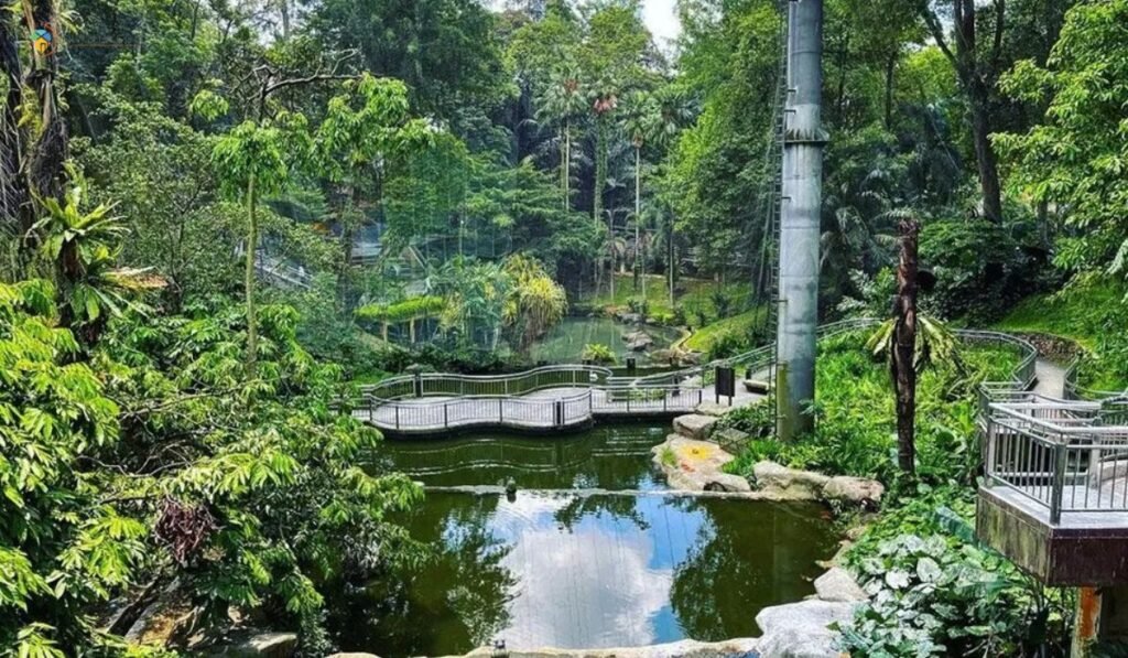 imej KL Bird Park