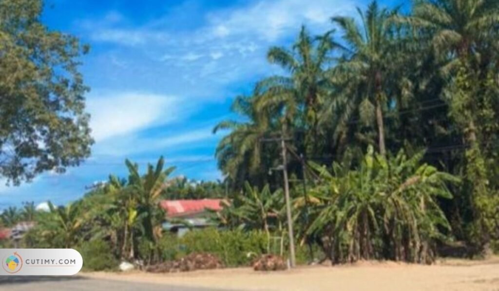 imej Lorong 10 & Jalan Desa Ceria