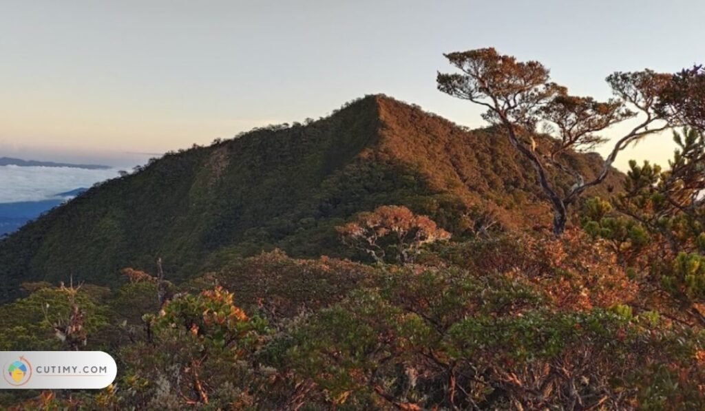 10 Tempat Menarik di Tambunan yang Wajib di Lawat 9 imej Mount. Trusmadi Basecamp, Tempat Menarik di Tambunan