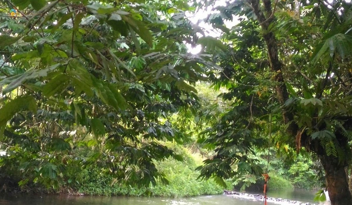 5 Tempat Mandi Janda Baik Paling Best Terkini 5 imej Riverside Janda Baik