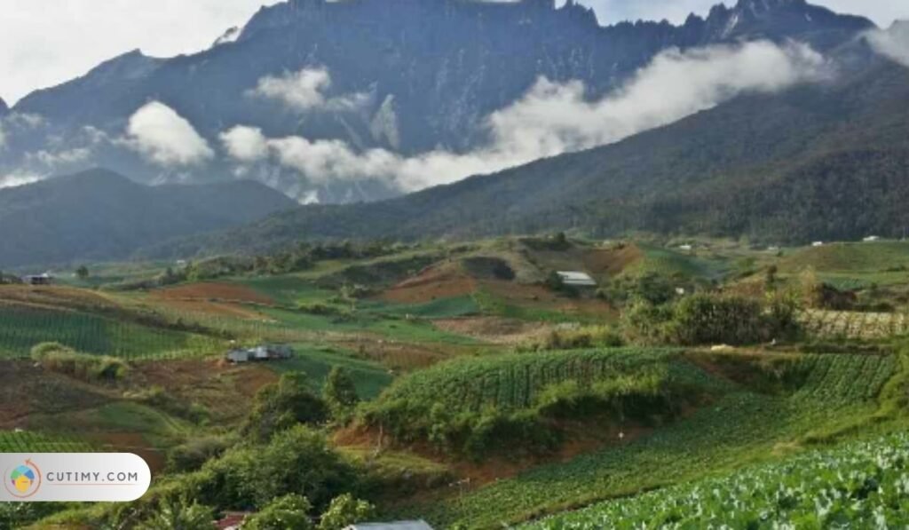 13 Tempat Menarik Di Tamparuli yang Menakjubkan 13 Imej Bukit Kusai Trail Strat