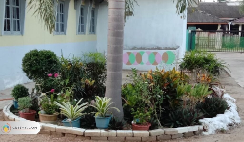 Imej Durian Belanda Homestay