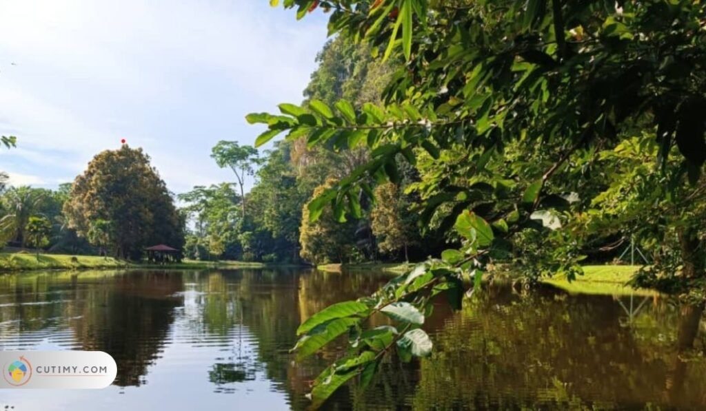 Imej Gunung Senyum Recreational Forest