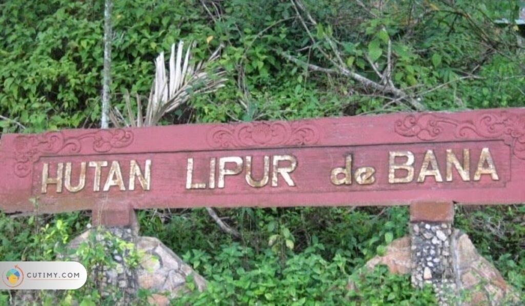 5 Tempat Menarik Di Jempol yang Menakjubkan 3 Imej Hutan Lipur De Bana