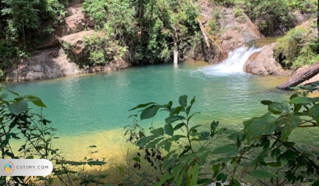 7+ Tempat Menarik Di Gambang yang Menakjubkan 3 Imej Hutan Lipur Eco Rimba Jerangkang