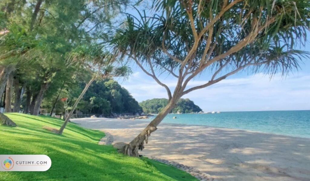 Imej Pelantar Jalan Tepi Pantai