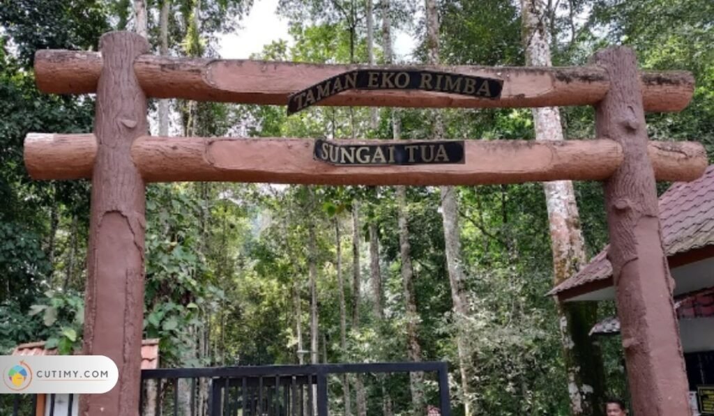 Imej Taman Eko Rimba, Sungai Tua