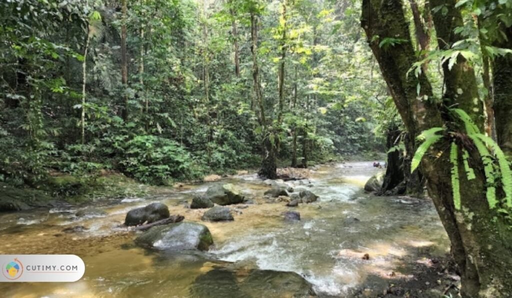 Imej Taman Negeri Selangor